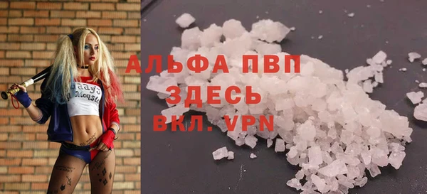 индика Вязники