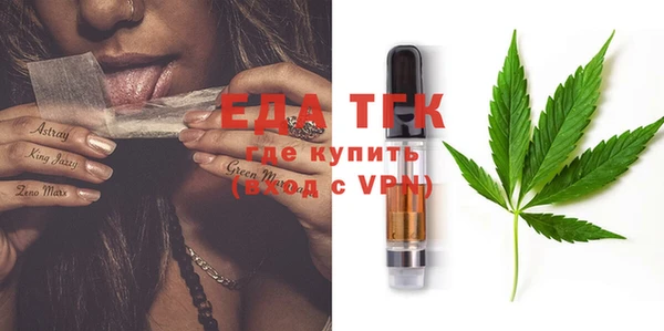индика Вязники