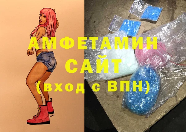 индика Вязники