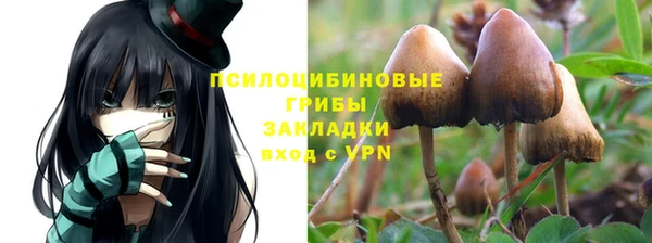 индика Вязники