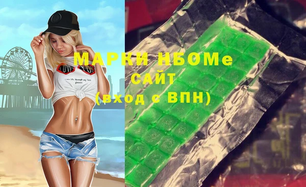 индика Вязники