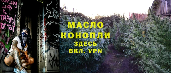 индика Вязники