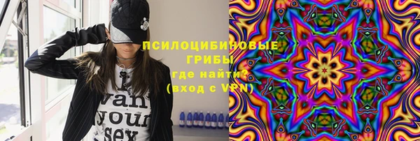 индика Вязники