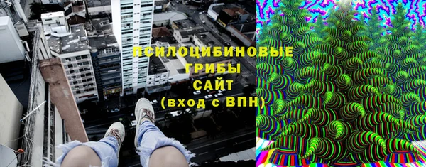винт Тайга